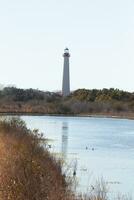 This is the look of the Cape May point lighthouse from the birdwatching nature preserve close by. I love the look of the pond in this landscape picture and the brown look of all the foliage. photo