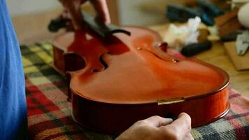 Luthier working in a violin or viola in workplace video