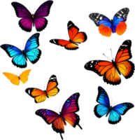 Colorful butterfly clipart for decoration. AI-generated. png