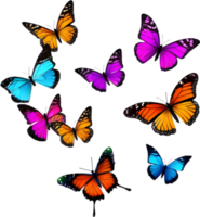 Colorful butterfly clipart for decoration. AI-generated. png