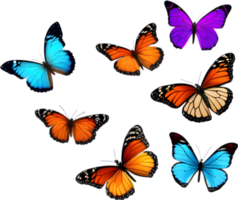 Colorful butterfly clipart for decoration. AI-generated. png