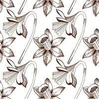 Floral pattern. Seamless pattern of daffodils drawn on a clipboard in dark brown vector. For the design of postcards, invitations, for the design of weddings and celebrations, for printing. vector