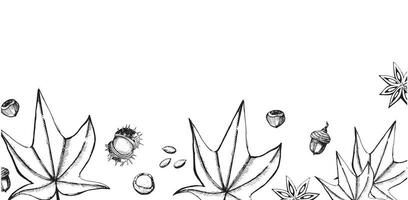 Rectangular composition drawn in vector. Maple leaves, chestnuts, acorns, drawn in vector in black on a white background. For print, cards, invitations, creativity and design.