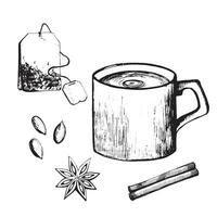 Vector illustration. Cup of tea, tea bag, spices, cardamom, star anise, cinnamon drawn in vector in black on a white background. For baking, kitchen, dining room, design and creativity.