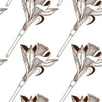 Floral pattern. Seamless pattern of daffodils drawn on a clipboard in dark brown vector. For the design of postcards, invitations, for the design of weddings and celebrations, for printing. vector