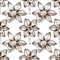 Floral pattern. Seamless pattern of daffodils drawn on a clipboard in dark brown vector. For the design of postcards, invitations, for the design of weddings and celebrations, for printing. vector