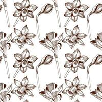 Floral pattern. Seamless pattern of daffodils drawn on a clipboard in dark brown vector. For the design of postcards, invitations, for the design of weddings and celebrations, for printing. vector