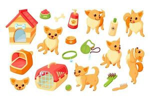 Chihuahua dog with kennel, carrier, toys and grooming stuff. Chihuahua puppy with pet accessories. Vector illustration