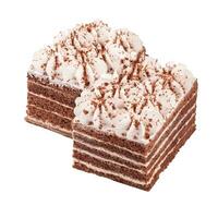 Chocolate sponge cake with mascarpone layers and whipped cream photo