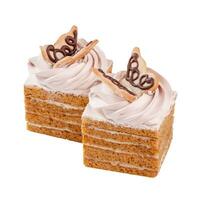 Slices of honey cake with sour cream decorated with whipped whites and butterfly of cookies photo