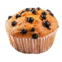 Closeup of blueberry muffin in paper baking cup isolated on white photo