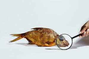 Cold-smoked bream on white background with magnifying glass in female hand photo