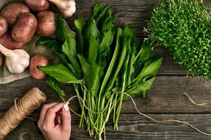 Woman hands holding fresh organic spinach leaves. Vegetables, onion, garlic, potatoes, spinach, lettuce leaves on wooden background photo