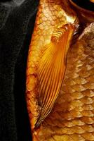 Closeup fragment of golden scales of smoked fish with pectoral fin photo