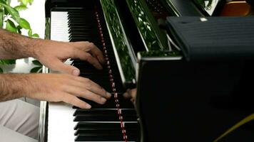 Musician hands playing the piano video