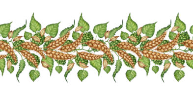 Watercolor illustration of a pattern horizontal of ripe wheat cobs, dried stalks, grains, and a branch of fresh green hops isolated. Design element for advertising, beer festival, packaging, png