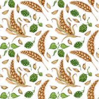 Aquarell Illustration von ein Muster von reif Ohren von Weizen, getrocknet Stiele, Körner und ein Ast von frisch Grün Hopfen isoliert. Element zum Design, Werbung, Bier Festival png