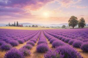 lavender field in the sunset in provence, italy AI Generative photo