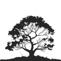 silhouette of big tree in summer on isolated white background vector