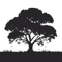 silhouette of big tree in summer on isolated white background vector