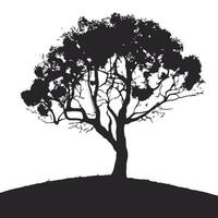 silhouette of big tree in summer on isolated white background vector