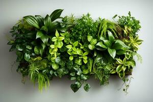 Modern green living wall in an urban setting isolated on a gradient background photo