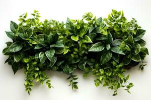 A miniature model of a lush green living wall isolated on a white background photo