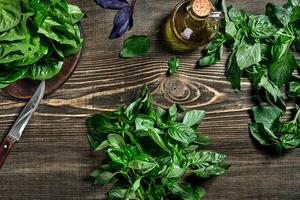 Green fresh basil on wooden background. Top view photo