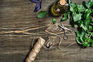 Green fresh basil on wooden background. Top view photo