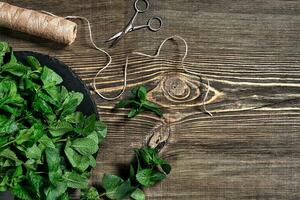 Fresh mint leaves on wooden background. Top view. Copy space photo