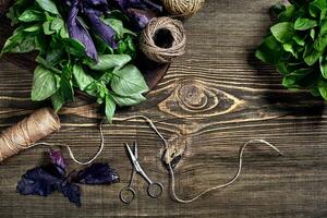 Variety of fresh organic herbs on wooden background. Freshly harvested herbs including basil, arugula. Top view. Copy space. photo