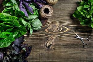 Variety of fresh organic herbs on wooden background. Freshly harvested herbs including basil, arugula. Top view. Copy space. photo