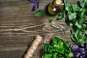 Variety of fresh organic herbs on wooden background. Freshly harvested herbs including basil, arugula. Top view. Copy space. photo