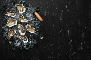 Fresh opened oysters and ice on a black stone textured background. Top view with copy space. Close-up shot. photo