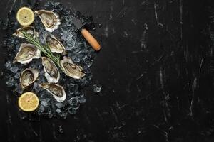 Fresh opened oysters, ice and lemon on a black stone textured background. Top view with copy space. Close-up shot. photo