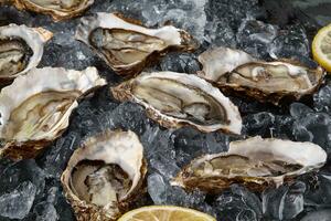 Fresh opened oysters, ice and lemon on a black stone textured background. Top view. Close-up shot. photo