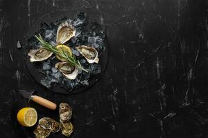 Fresh opened oysters, ice and lemon on a round slate, black stone textured background. Top view with copy space. Close-up shot. photo