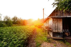 Front view of wooden house in russian village in sunny summer day photo