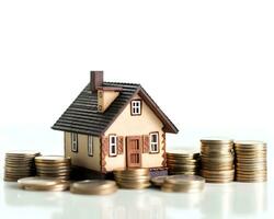 house model and coins on white background. real estate and investment concept. photo