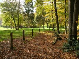 the teutoburg forest in germany photo