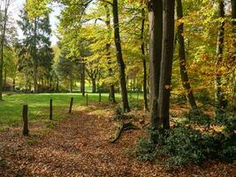 the teutoburg forest in germany photo