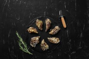 Fresh closed oysters and ice on a slate, black stone textured background. Top view with copy space. Close-up shot. photo