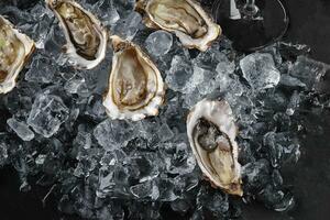 Fresh opened oysters in ice on a black stone textured background. Top view. Close-up shot. photo