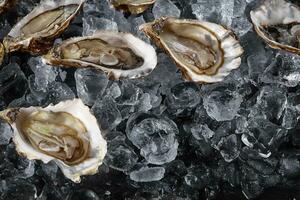 Fresh opened oysters in ice on a black stone textured background. Top view. Close-up shot. photo