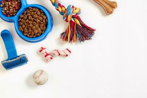 Dog care items, isolated on white background. Dry pet food in bowl, toy and bones. Top view photo