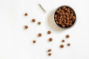 Dry pet food in bowl on white background top view photo