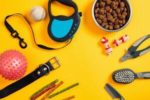 Dog accessories on yellow background. Top view. Pets and animals concept photo