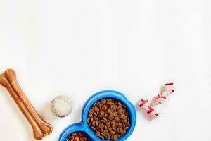 Dry pet food in bowl and toys for dogs on white background top view photo