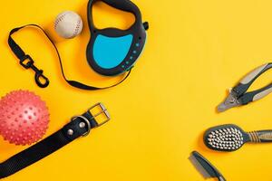 Dog accessories on yellow background. Top view. Pets and animals concept photo