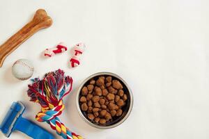 Dog food in metallic bowl and accessories on white background photo
